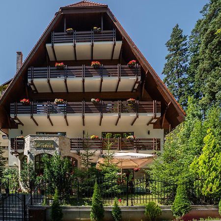 Opus Villa Sinaia Exterior foto The chalet in 2012